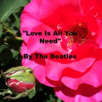 Quote - Love Is All You Need by The Beatles