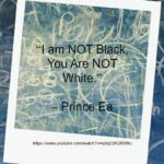 Song - I Am NOT Black, You Are NOT White by Prince Ea