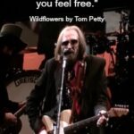 Quote - Wildflowers by Tom Petty