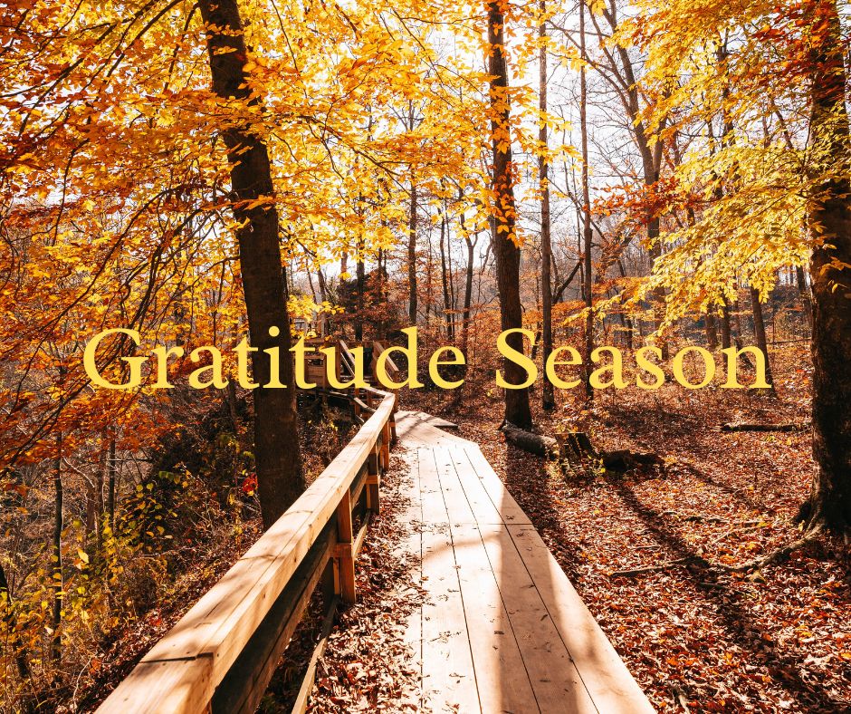 gratitude season