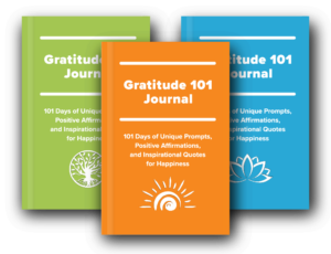gratitude 101 journal