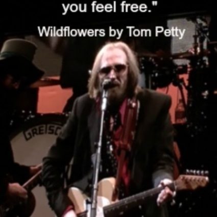 Song-Wildflowers-by-Tom-Petty-2