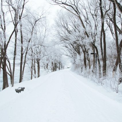 snow road ali-inay-yNaGxHqjOuw-unsplash